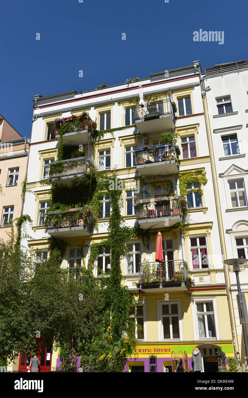 Altbauten, Oderberger Straße, Prenzlauer Berg, Berlin, Deutschland Stockfoto