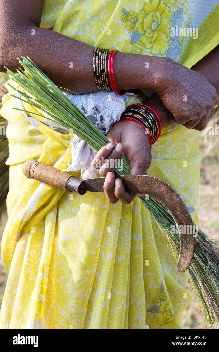 Indische Frauen sammeln Rasen aus dem ländlichen Raum, geschwungene Bürsten zu machen. Andhra Pradesh, Indien Stockfoto