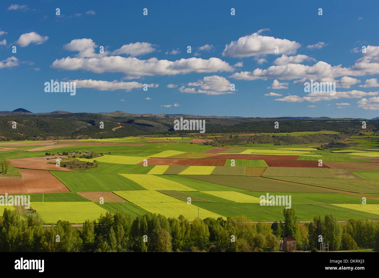 Castilla Kastilien Landwirtschaft Wolken bunte Farben Kontrast Landschaft Soria Spanien Europa Frühjahr touristische Reisen Felder Stockfoto