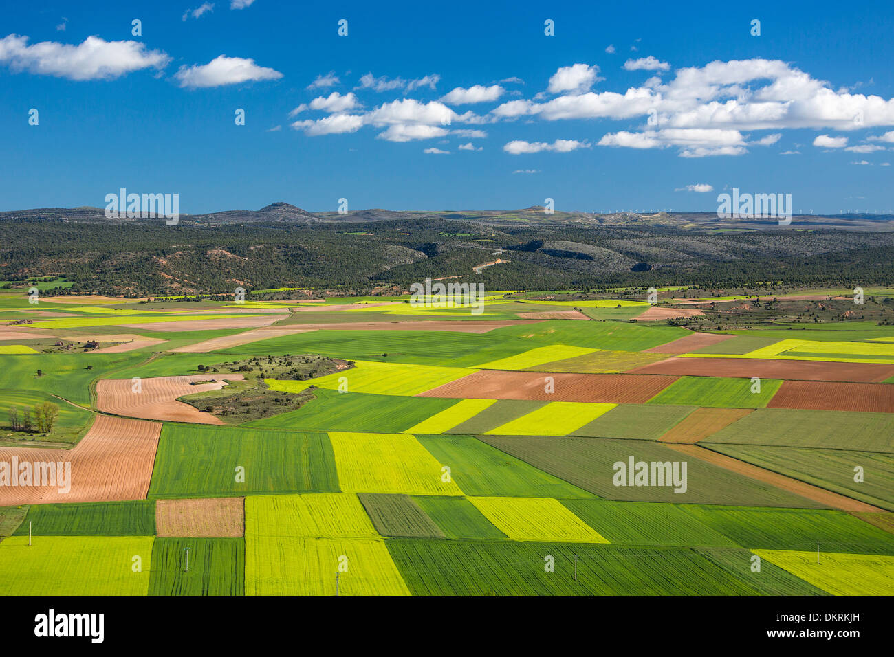 Castilla Kastilien Landwirtschaft Wolken bunte Farben Kontrast Landschaft Soria Spanien Europa Frühjahr touristische Reisen Felder Stockfoto