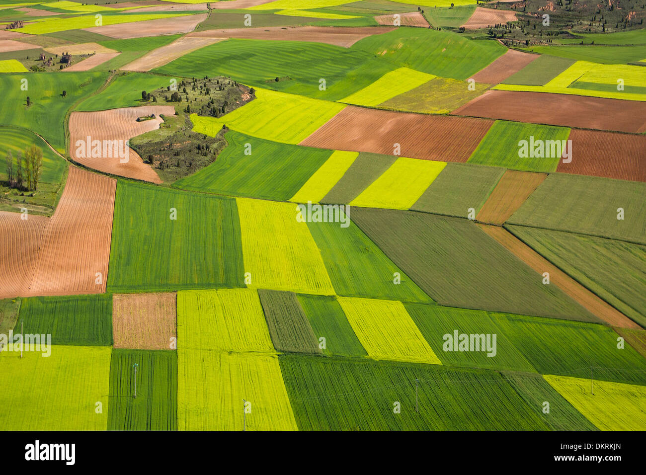 Castilla Kastilien Landwirtschaft bunte Farben Kontrast Landschaft Soria Spanien Europa Frühjahr touristische Reisen Felder Stockfoto