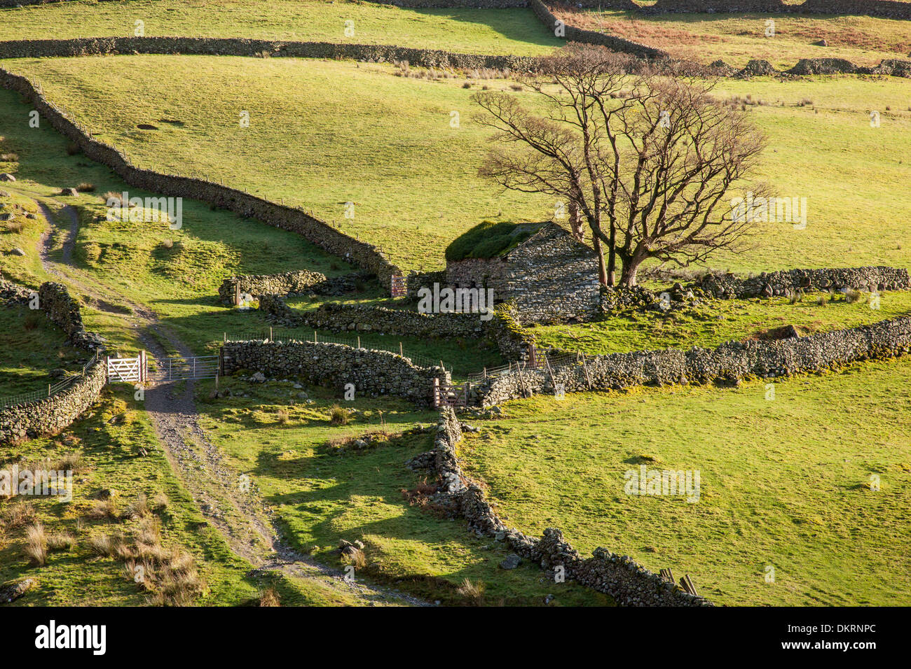 Eine Scheune auf einem Lakeland-Fjällflanken in der Nähe von Hartsop, Lake District, Cumbria Stockfoto