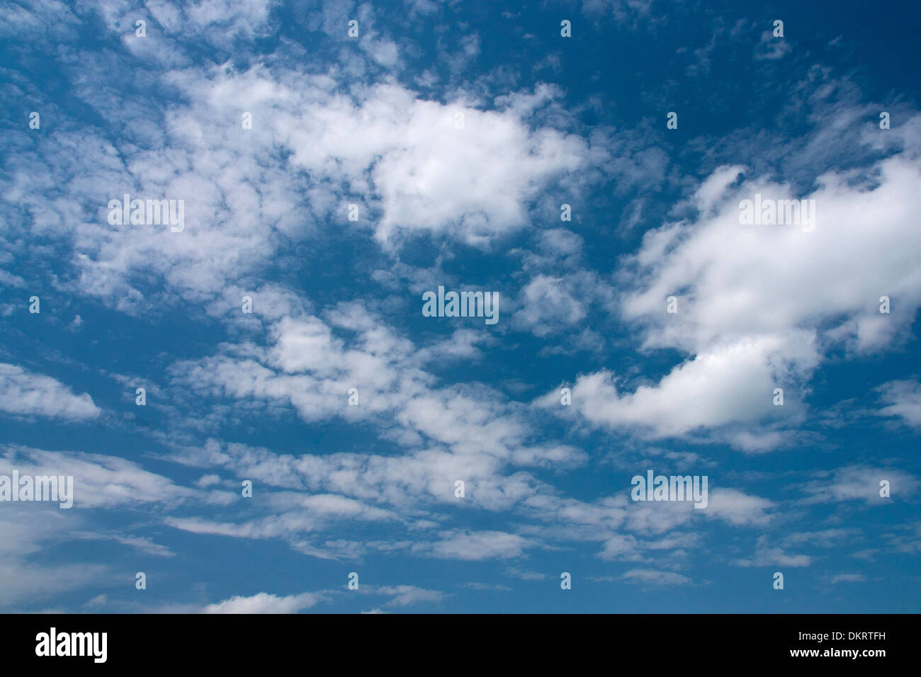 Deutschland, Europa, Himmel, blauer Himmel, Wolken, Schäfchenwolken, Cumulus-Wolken, Cumulus, Bildung, blau, weiß, Wetter, Wolke Stockfoto