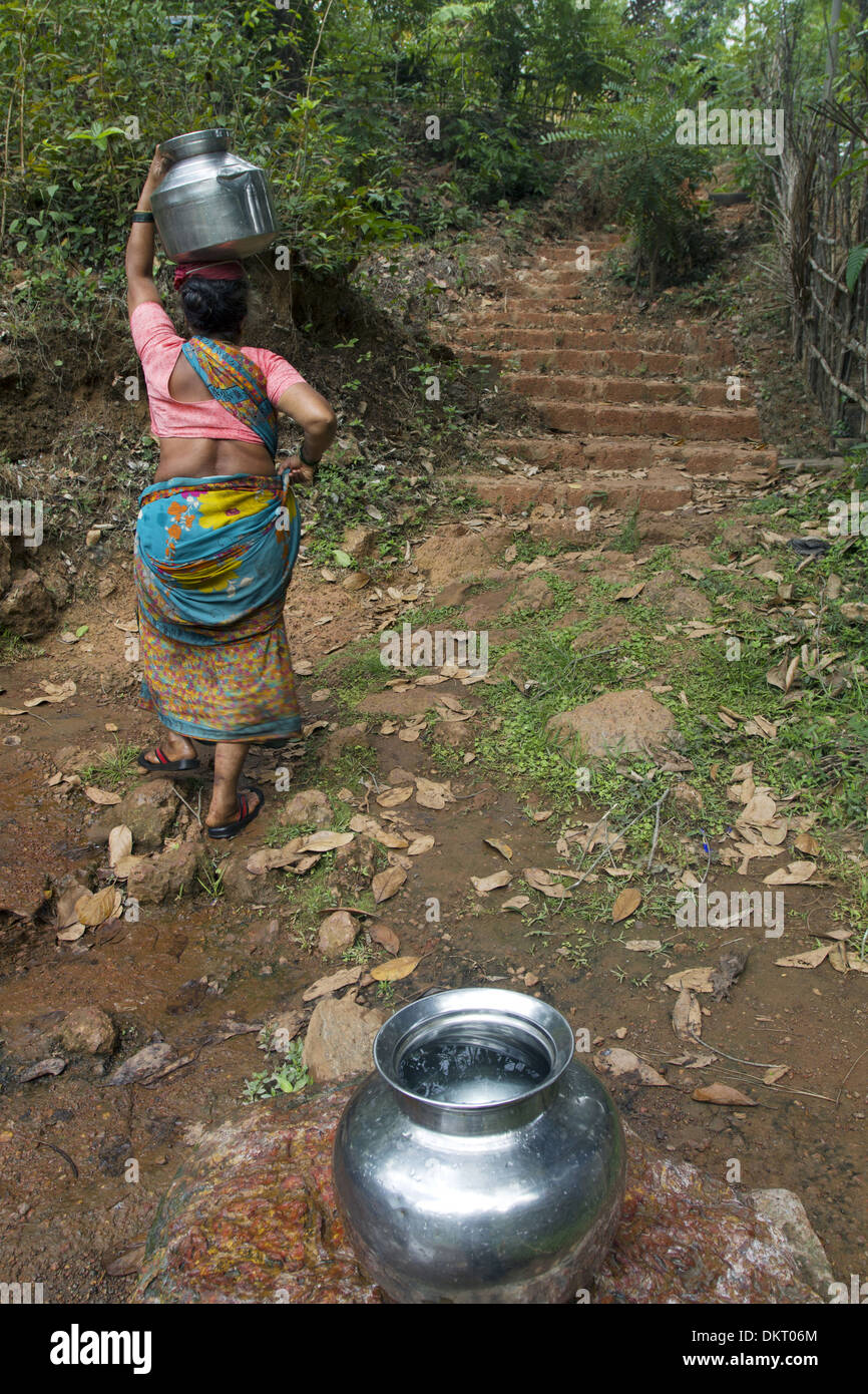 Frau, die Wasser aus einem Bach, Indien Stockfoto