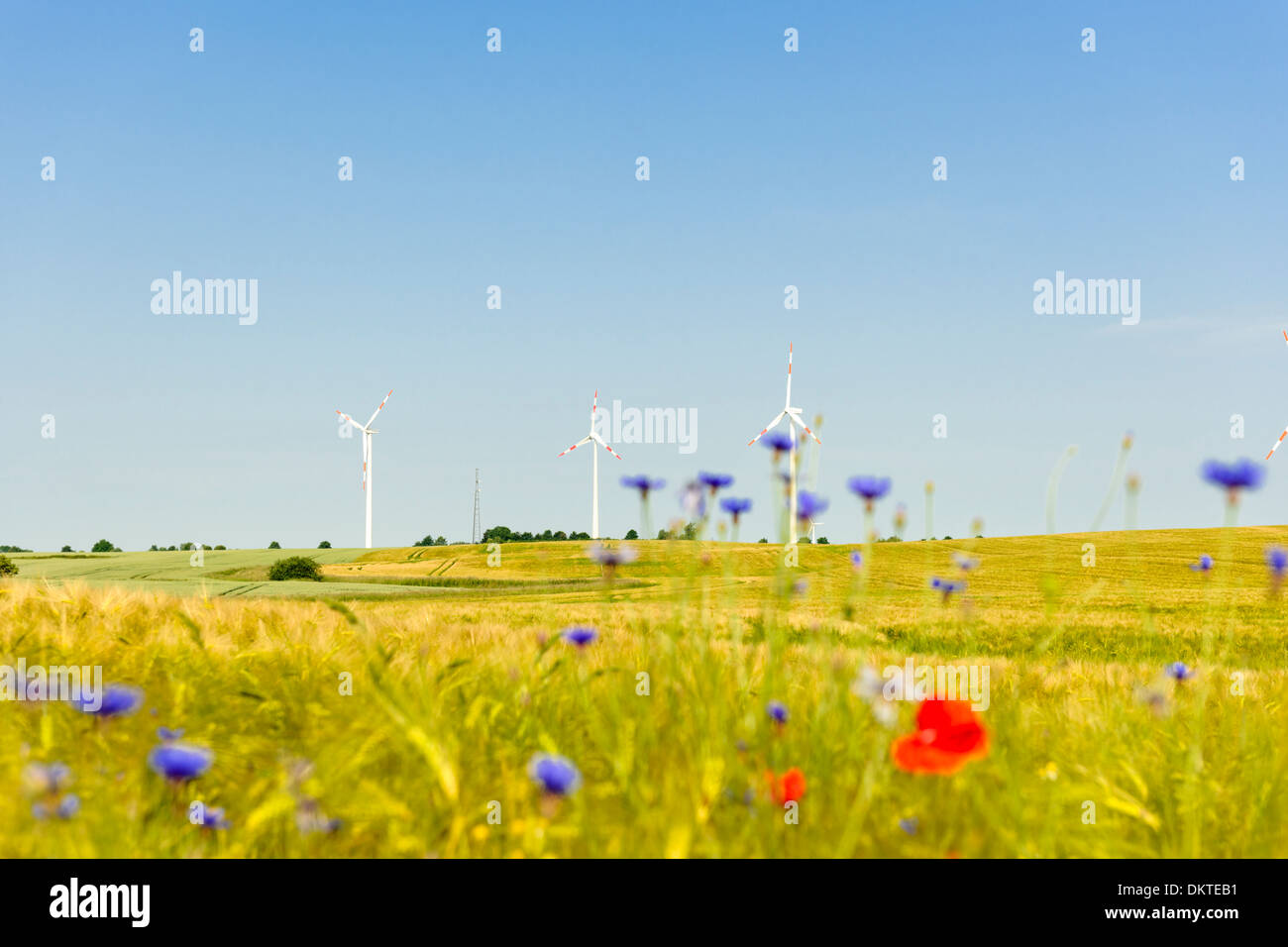 Windkraftanlagen, Kröpelin, Ostsee, Mecklenburg-Western Pomerania, Deutschland Stockfoto