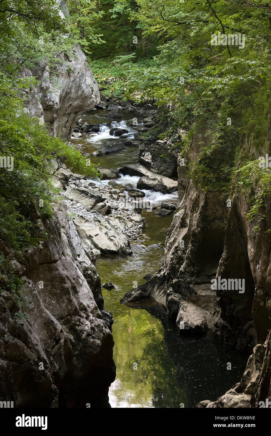 Europa Höhle Höhlen Istiren Reisen Sehenswertes Skocjanske Skocjanske Höhlen Natur Reservat Natur Nationalpark Slowenien Stockfoto