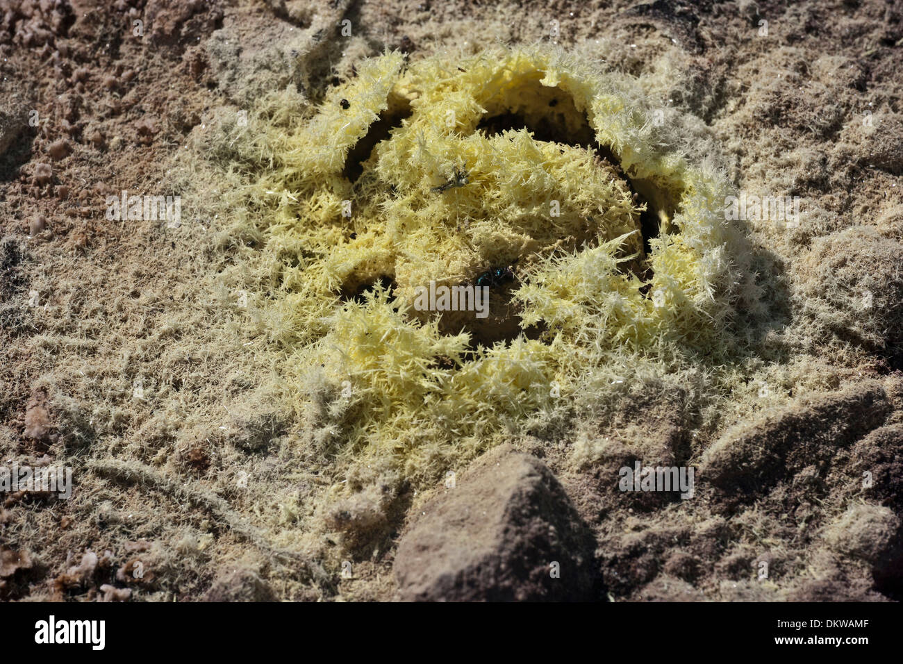 Nisyros Nissyros Ablagerung Caldera Dodekanischen Formen Formen gas Gase Rock Rock formationen Griechenland Europa Insel Krater Krater Stockfoto