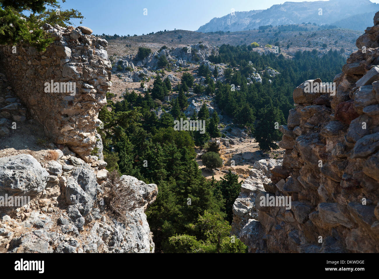 Palio pyli Fotos und Bildmaterial in hoher Auflösung Alamy