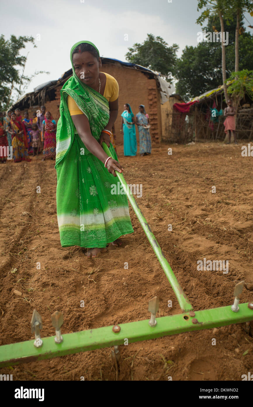 Eine Frau benutzt eine Linie erzielte Rake auf Bauernhof in Bihar, Indien. Stockfoto