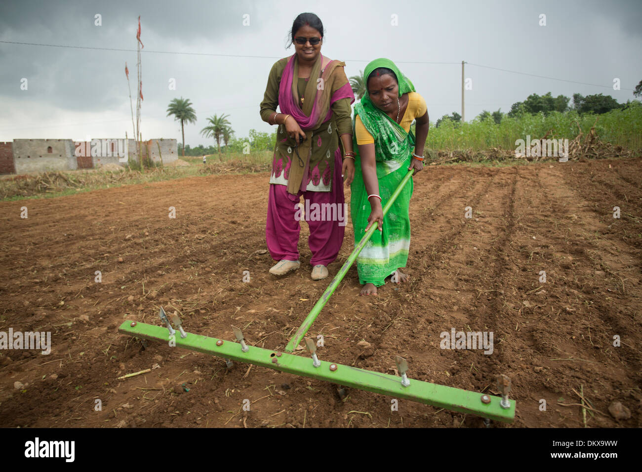 Eine Frau erhält eine landwirtschaftliche Ausbildung mit einer Reihe erzielte Rake im Bundesstaat Bihar, Indien Stockfoto