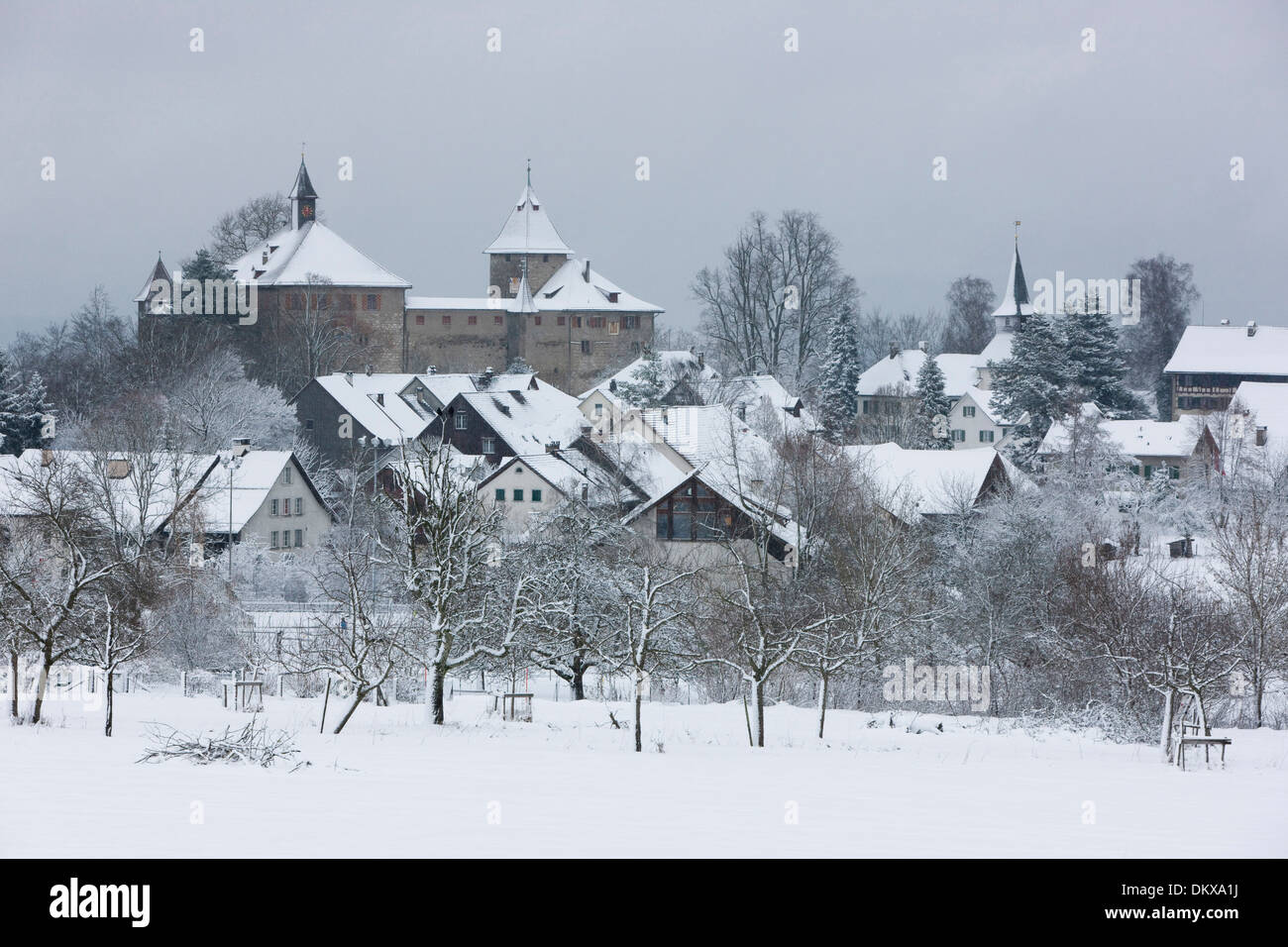 Schweiz, Europa, Winter, Dorf, Burg, Kanton ZH, Zürich, Schloss Kyburg, Schnee, Stockfoto