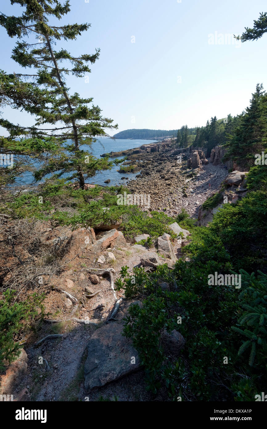 Acadia Nationalpark, Maine Stockfoto