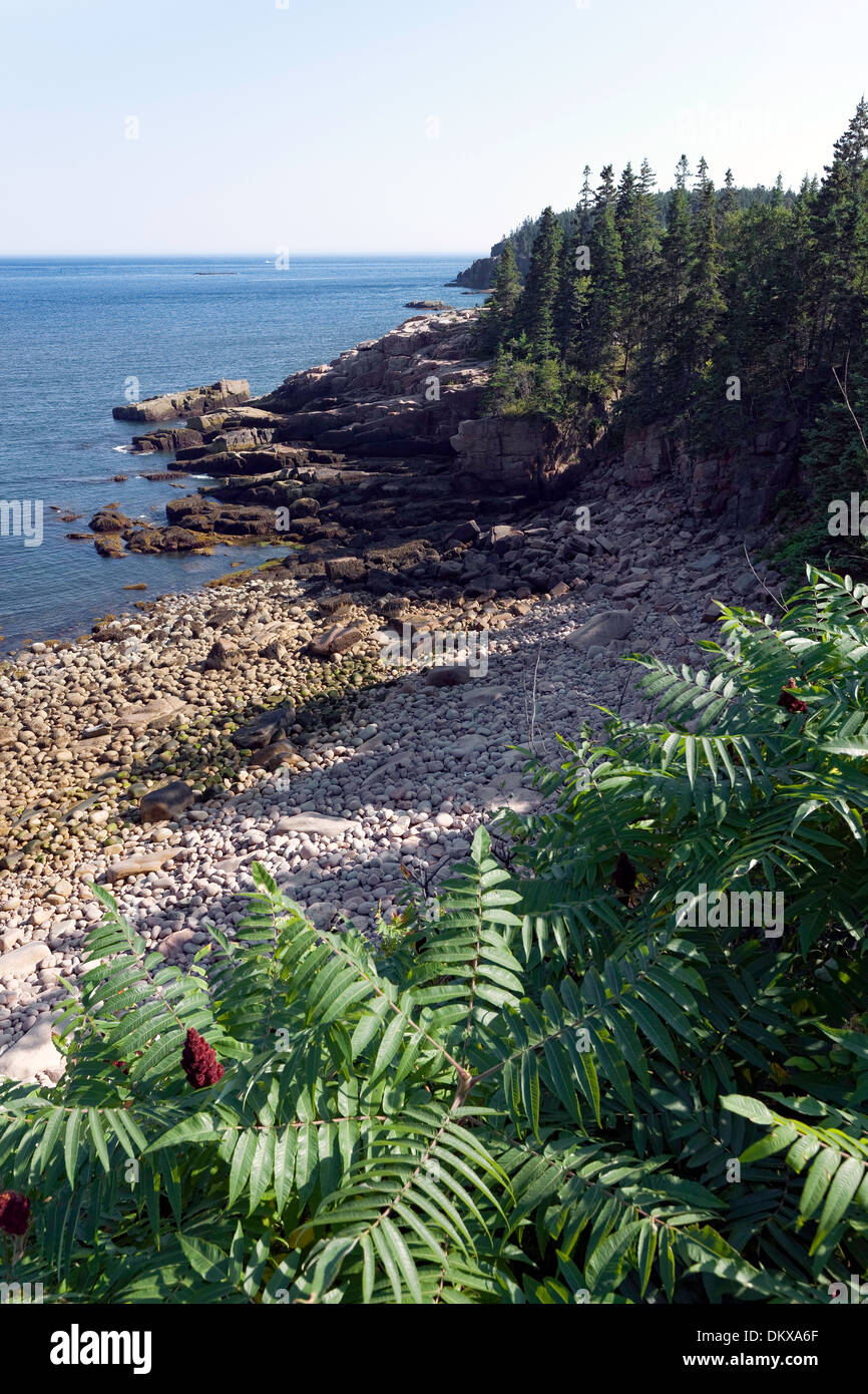 Acadia Nationalpark, Maine Stockfoto