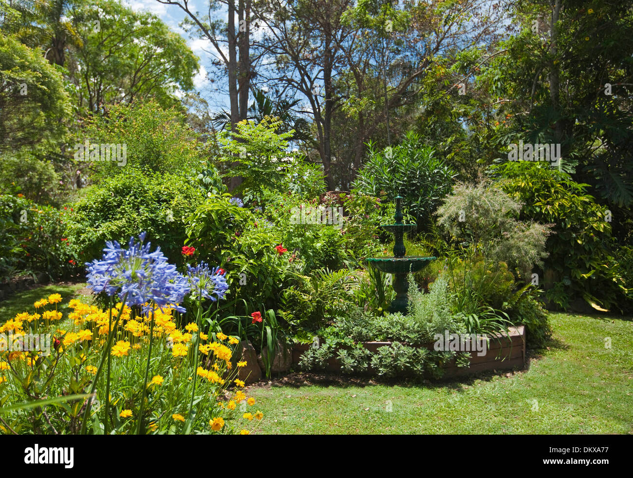 Spektakuläre subtropischen Bauerngarten - dekorative Brunnen Wasserspiel, smaragdgrüne Blätter, blühende Sträucher, Stauden, Rasen Stockfoto