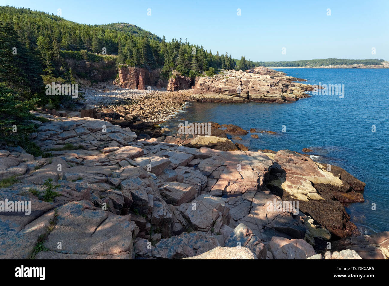 Acadia Nationalpark, Maine Stockfoto