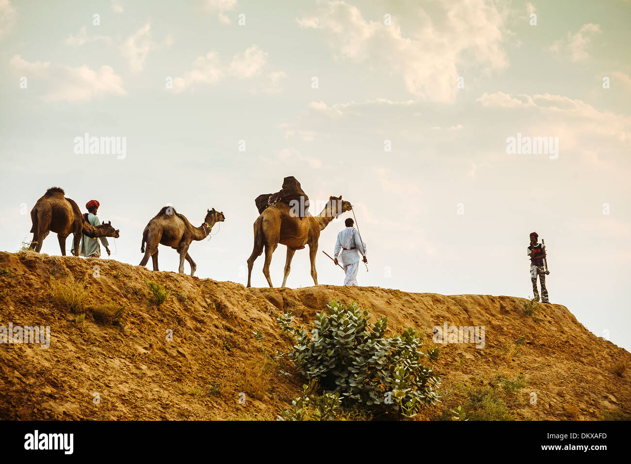 Kamel Händler, Indien Pushkar, Rajasthan Stockfoto