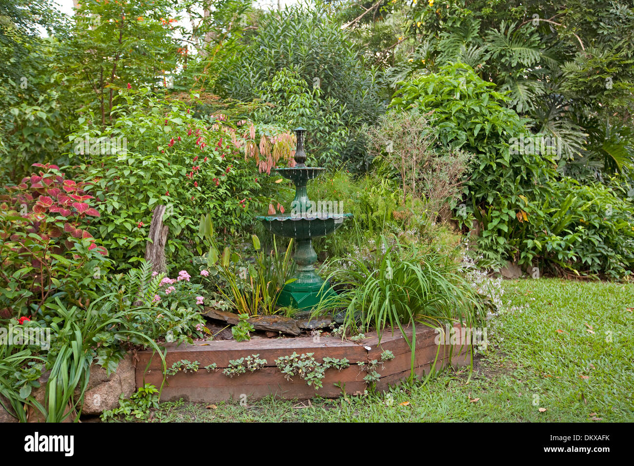 Spektakuläre üppigen subtropischen Garten mit dekorativen Brunnen Wasserspiel, smaragdgrüne Blätter, blühende Sträucher und Stauden Stockfoto