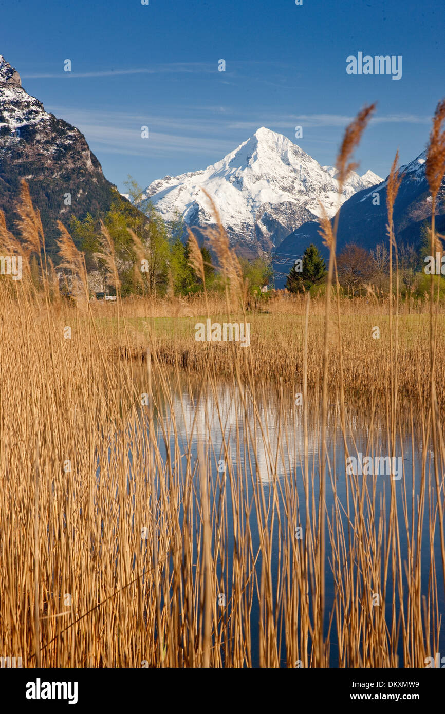 Schweiz Europa Berg Berge Fluss Fluss Bach Körper Wasser Wasser Wasser Kanton UR Uri Reed Feder Reussdelta Stockfoto