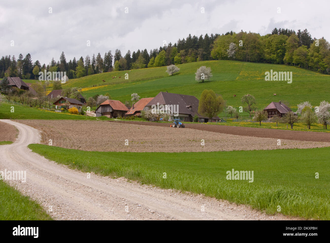 Europa, Schweiz, Kanton Bern, Landwirtschaft, Dorf, Frühling, Hamlet, Emmental, Häusernmoos, Stockfoto