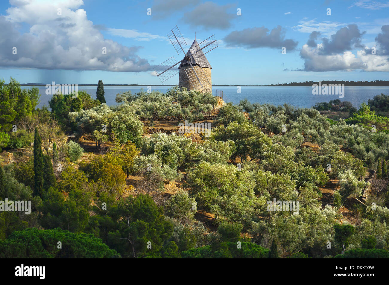 Alte steinerne Windmühle im Olivenbaum Feld mit Mittelmeer im Hintergrund, Frankreich Stockfoto