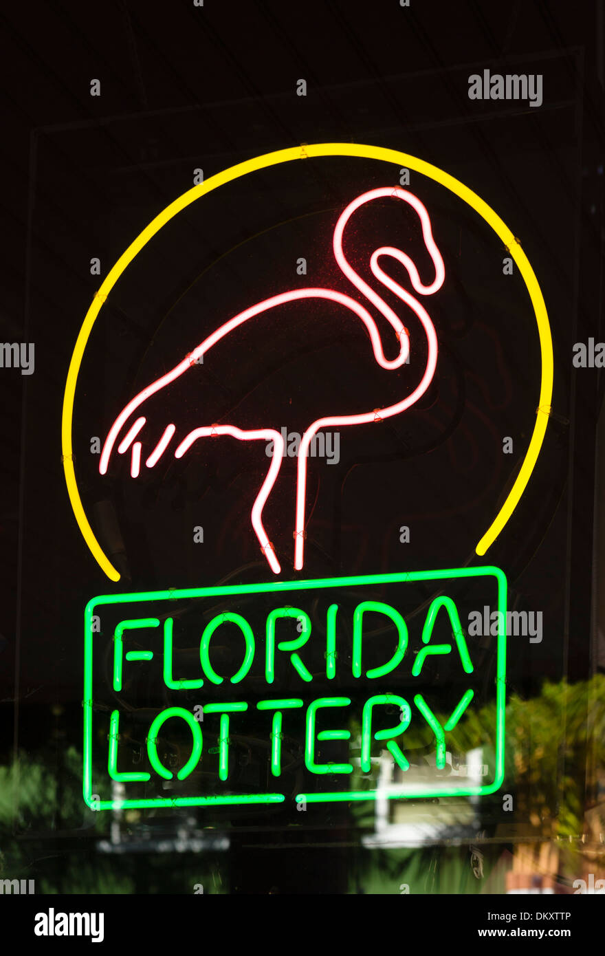 Florida Lottery Leuchtreklame in einem Schaufenster, Fort Myers, Florida, USA Stockfoto