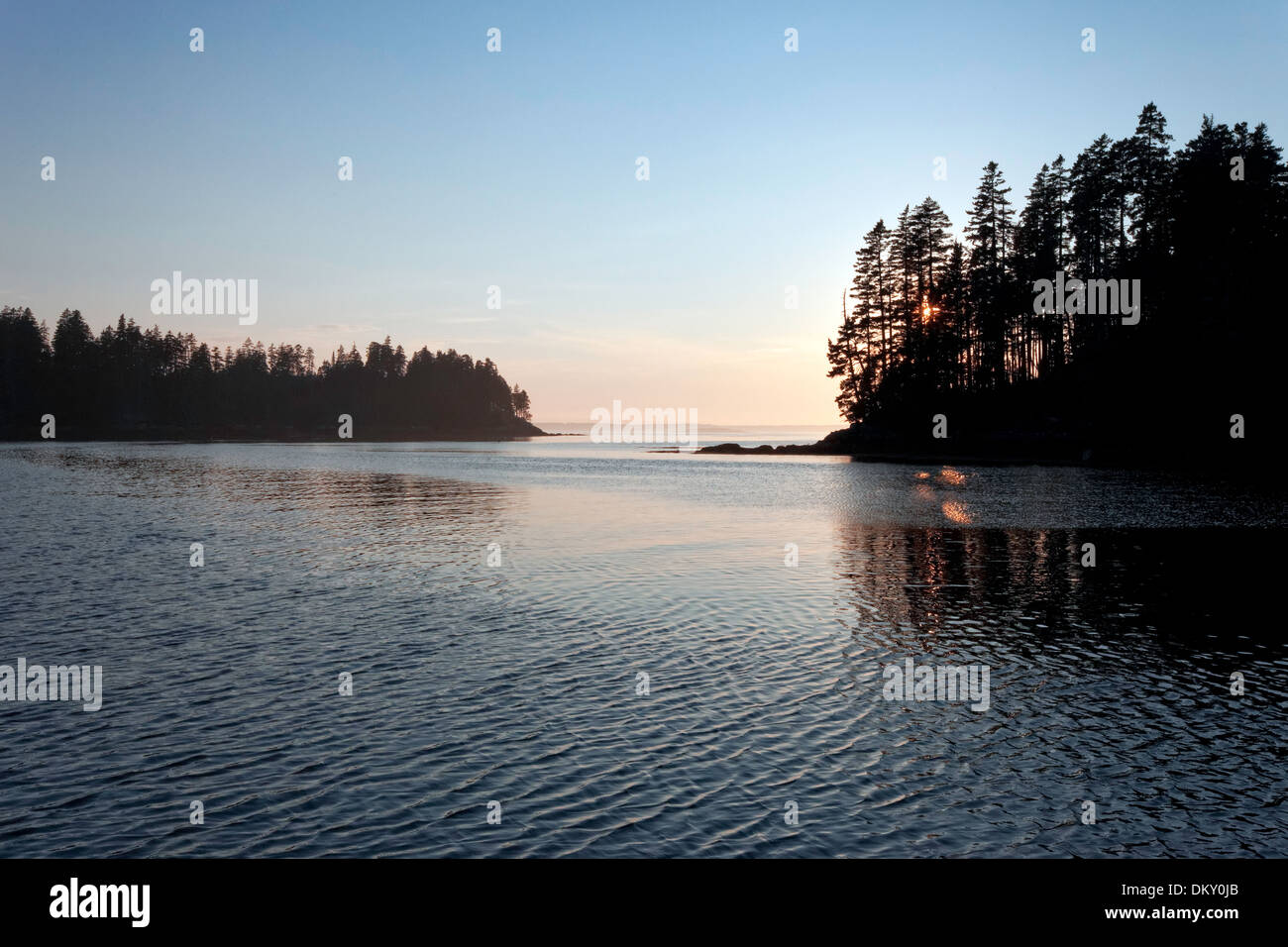 Malerische Maine, Roque Insel-Archipel, Down East, Maine Stockfoto