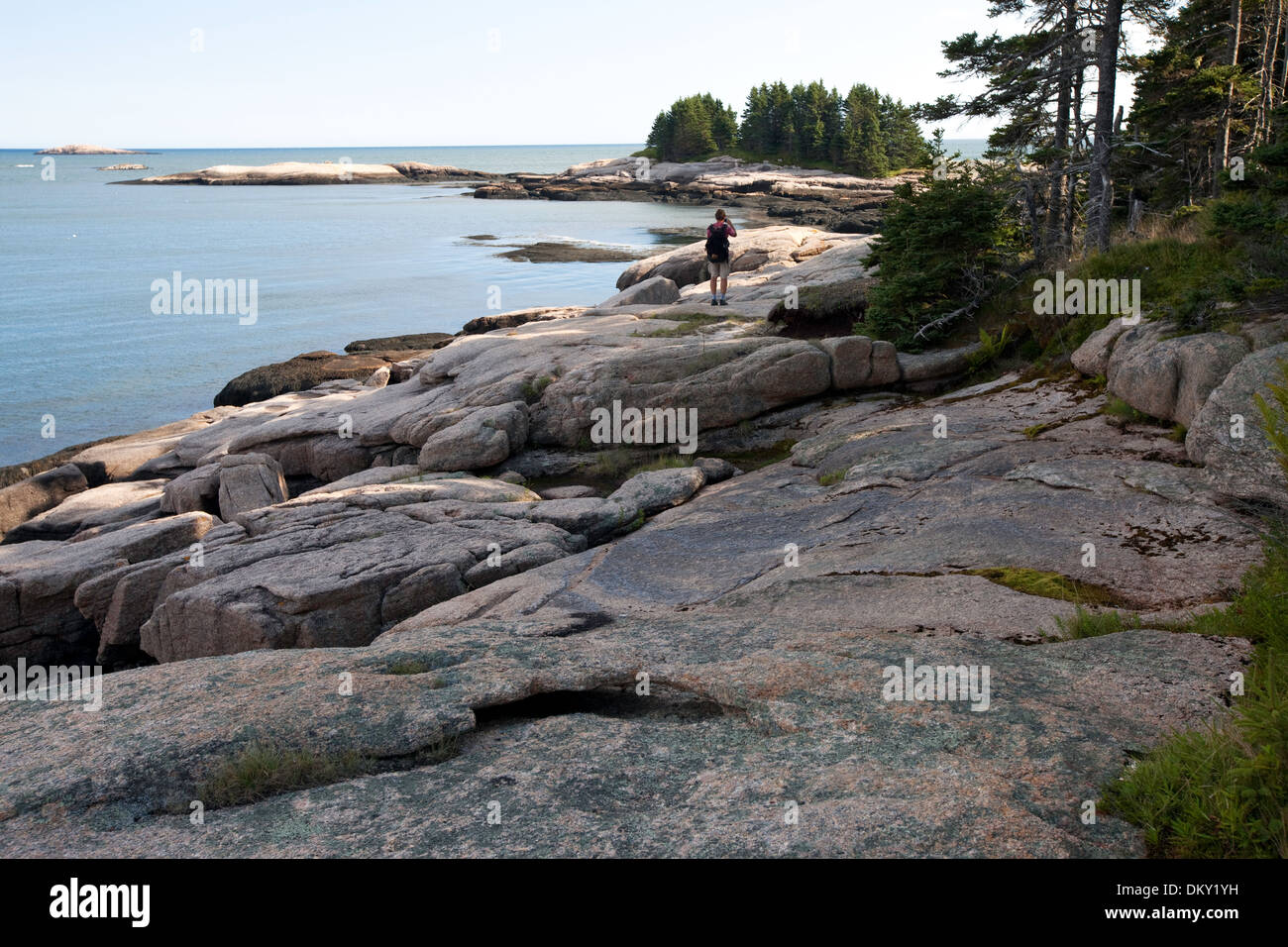 Erkunden Great Wass Island Preserve, Maine Stockfoto