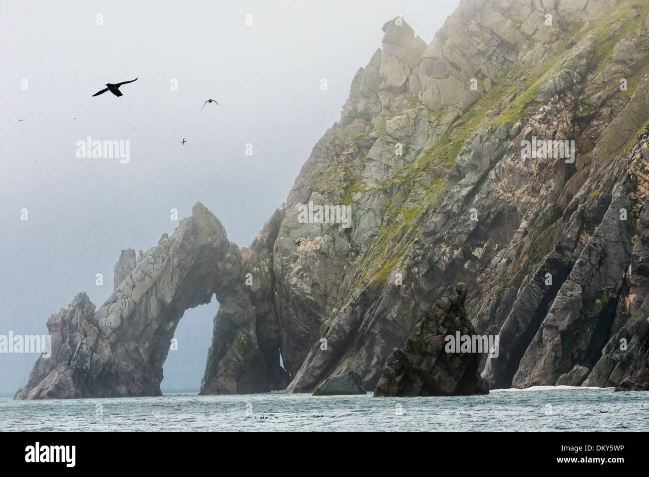 Klippen am Herald-Insel, Chuckchi Meer, russischen Fernen Osten, UNESCO-Weltkulturerbe Stockfoto