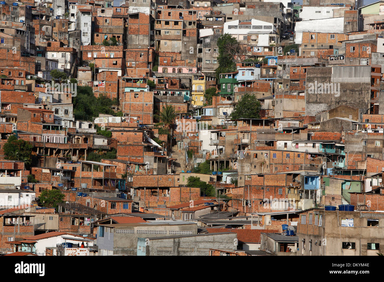 Favela in Salvador da Bahia Stockfoto