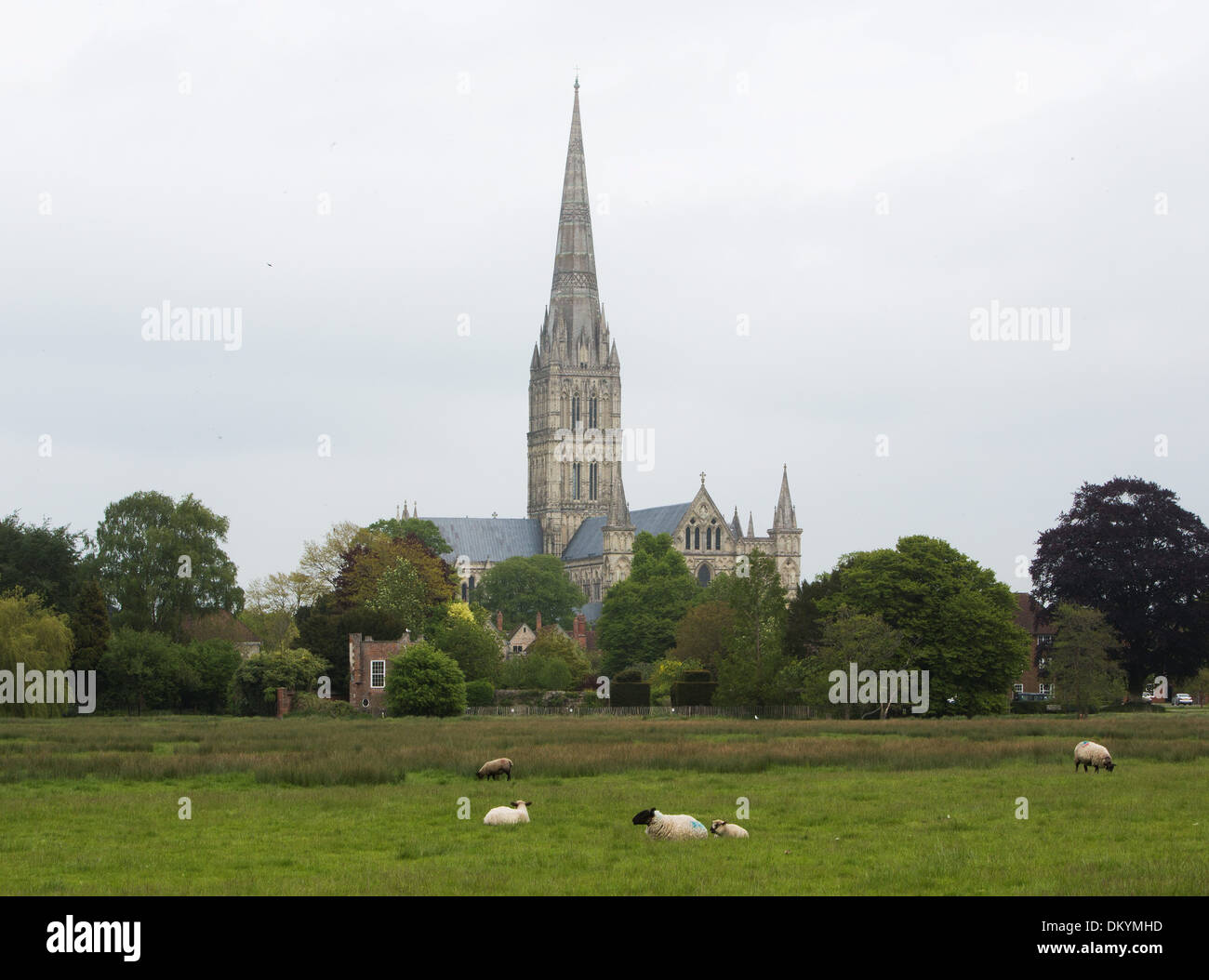 GV der Kathedrale von Salisbury, Wiltshire. 29. Mai 2013 Stockfoto