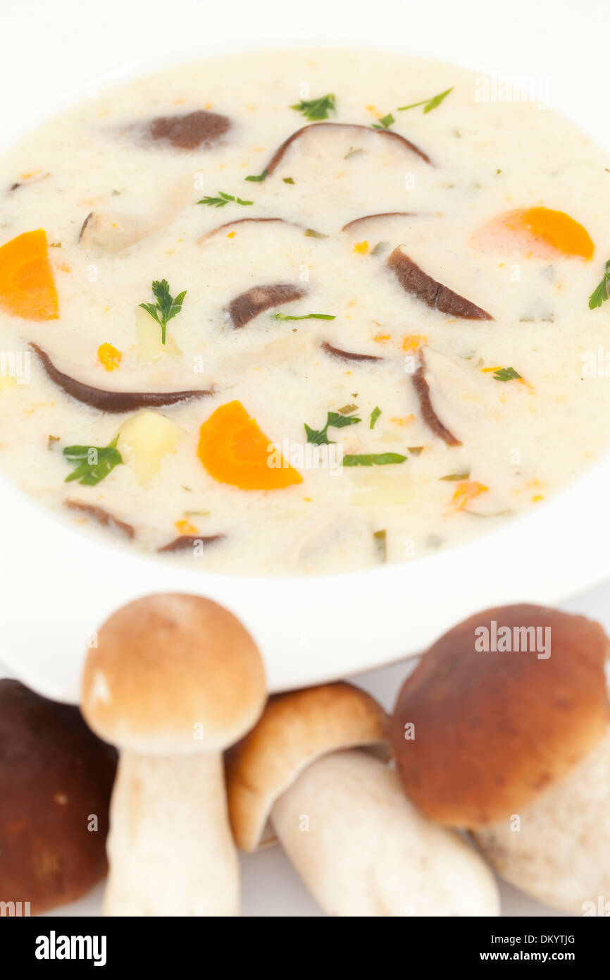 Pilzsuppe in weißer Teller auf weißem Hintergrund Stockfoto