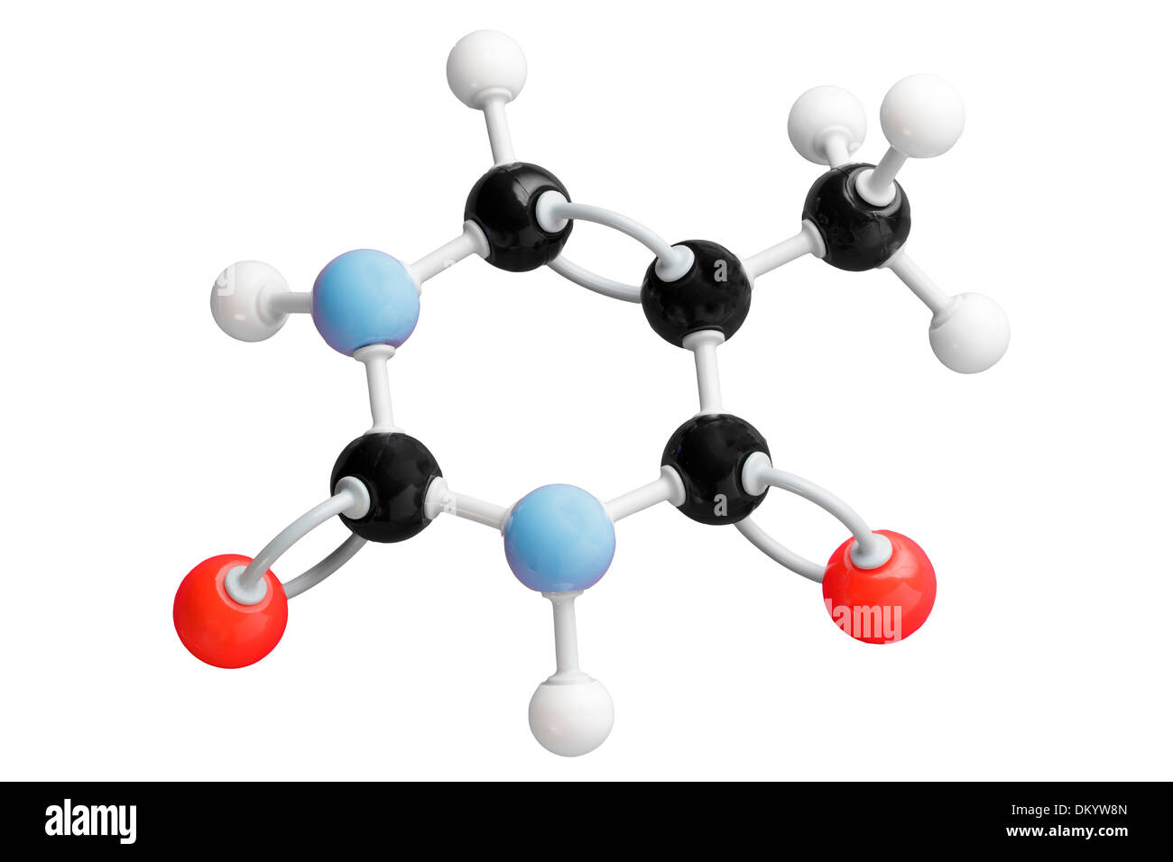 Thymin-Molekül-Modell Stockfoto
