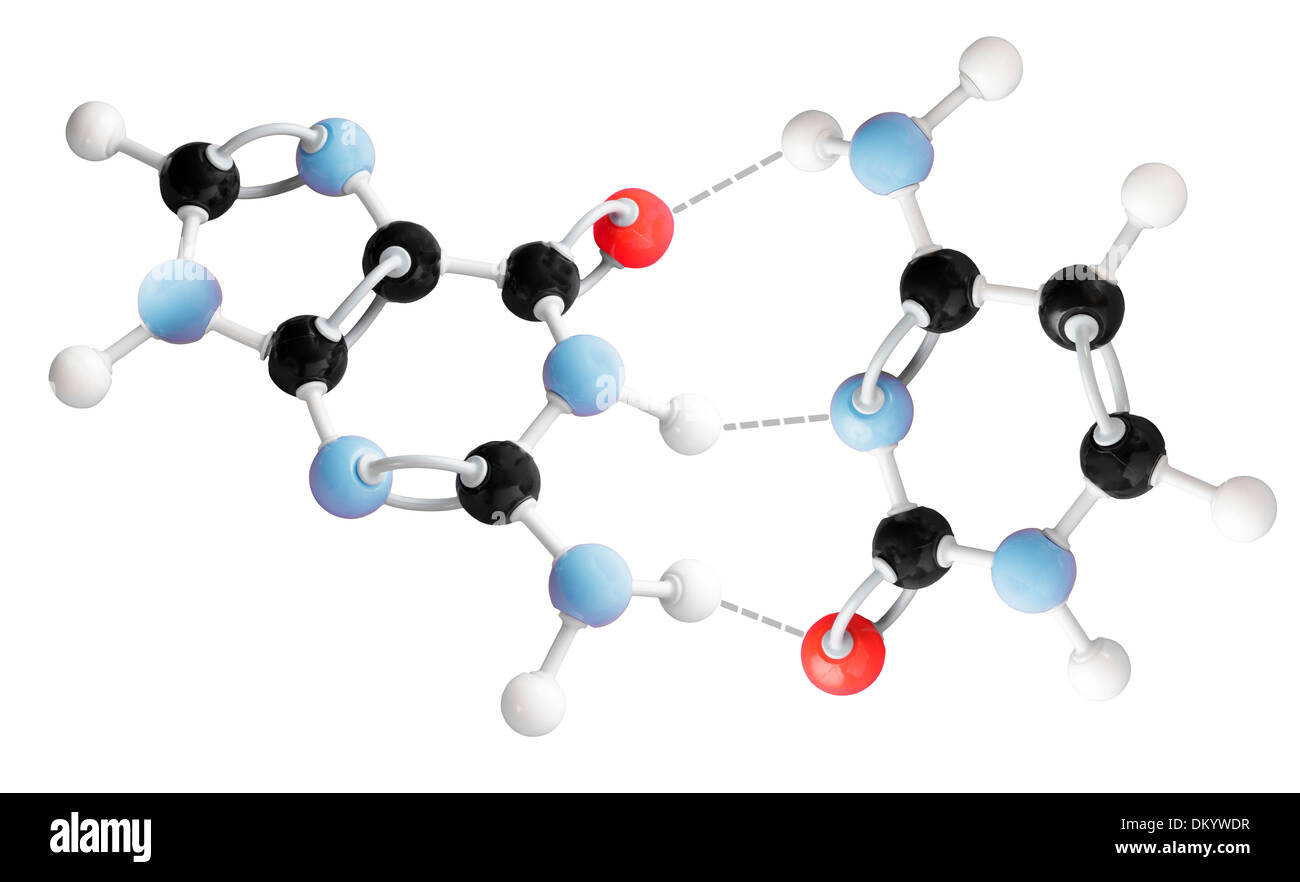 Molekül-Modell zeigt Cytosin-Guanin Interaktion Stockfoto