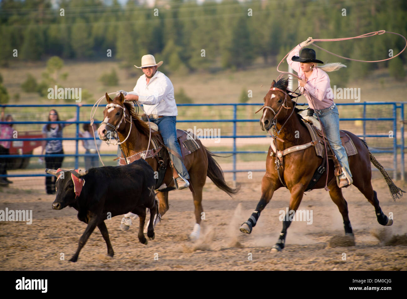 Bryce Rodeo, Bryce, Utah, USA Stockfoto