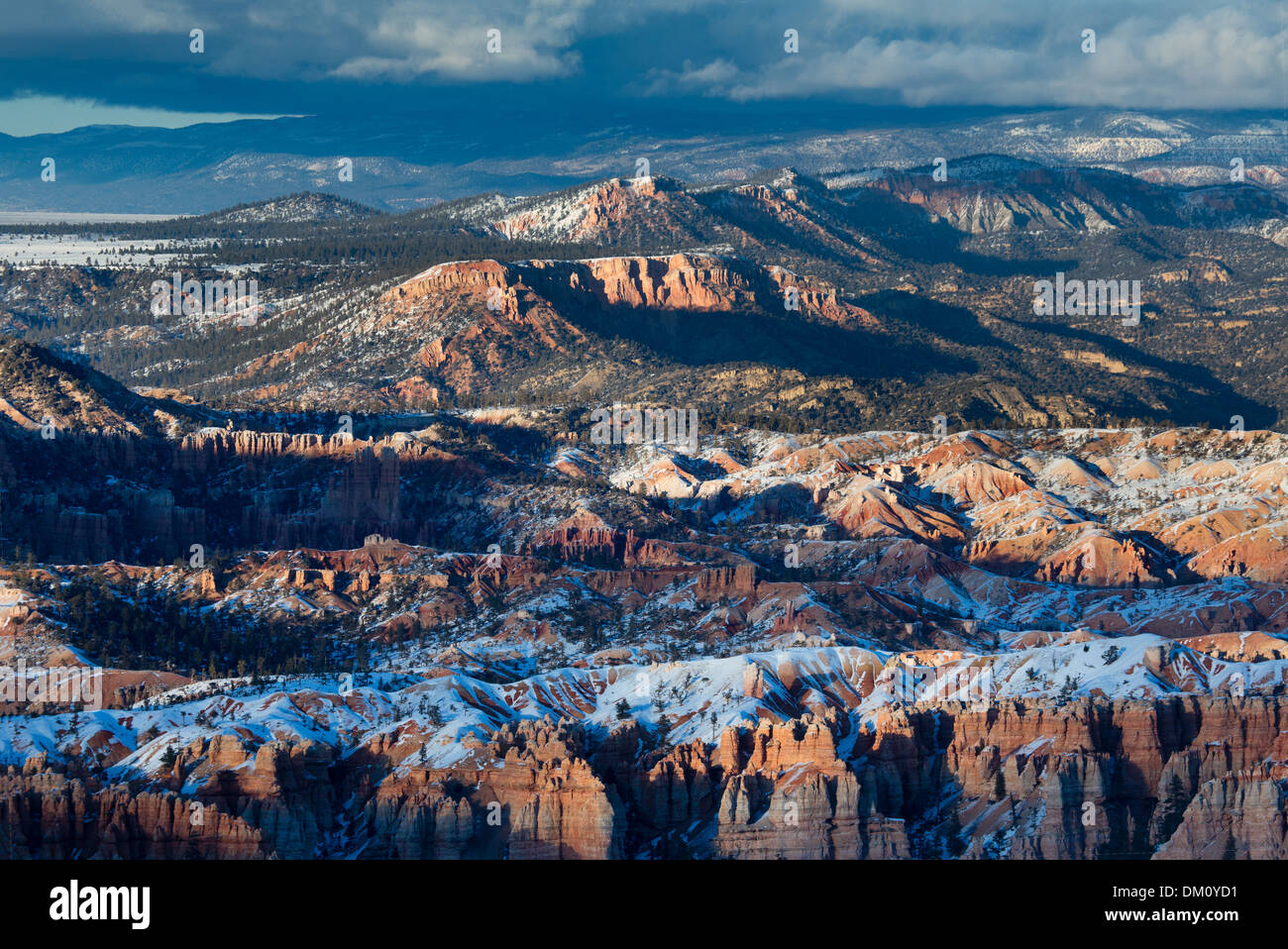 letztes Licht auf die Hoodoos Bryce Canyon, Utah, USA Stockfoto