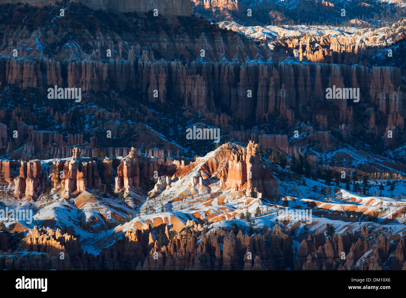 letztes Licht auf die Hoodoos Bryce Canyon, Utah, USA Stockfoto