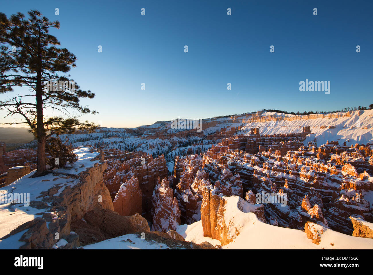 die Hoodoos im Amphitheater des Bryce Canyon im Winter an der Dämmerung, Utah, USA Stockfoto