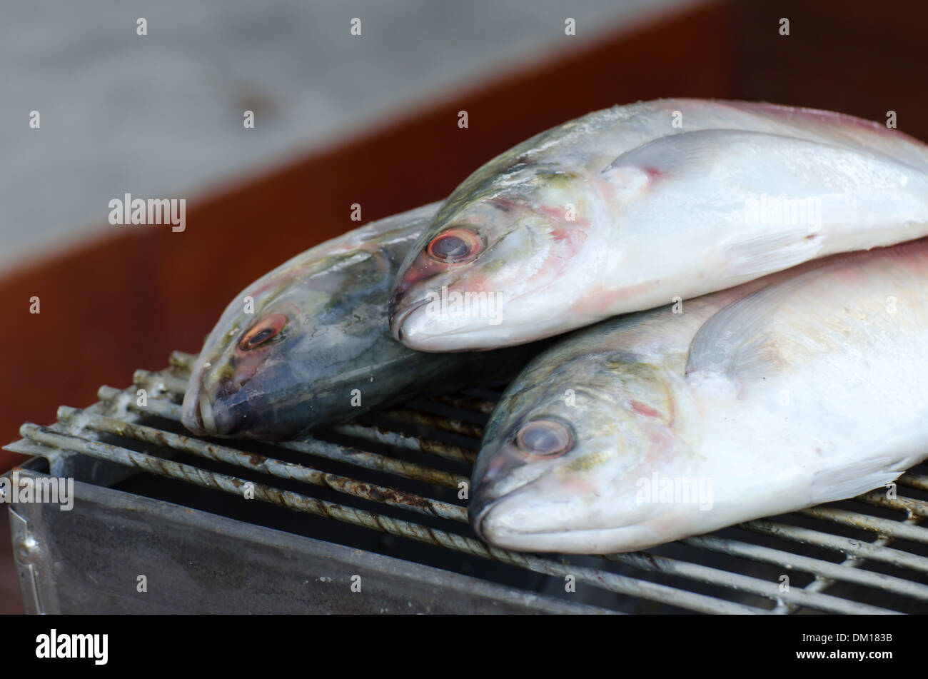 Fisch-Grill auf Stöcke, Meeresfrüchte Grill Grillen Stockfoto