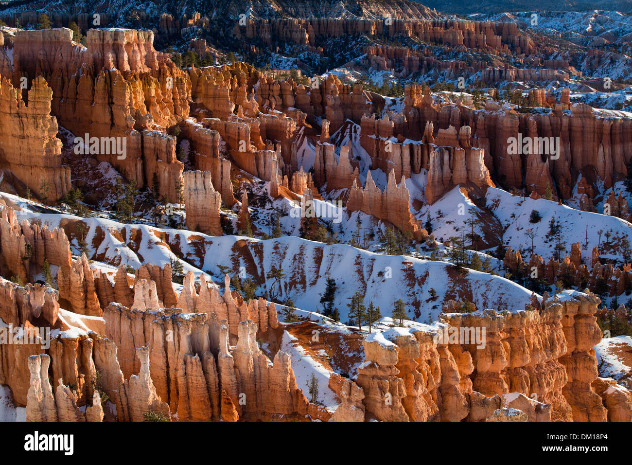 die Hoodoos im Amphitheater des Bryce Canyon im Winter an der Dämmerung, Utah, USA Stockfoto