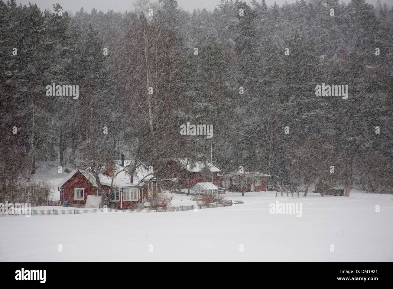 Fallender Schnee Hütte Winter Schweden Stockfoto