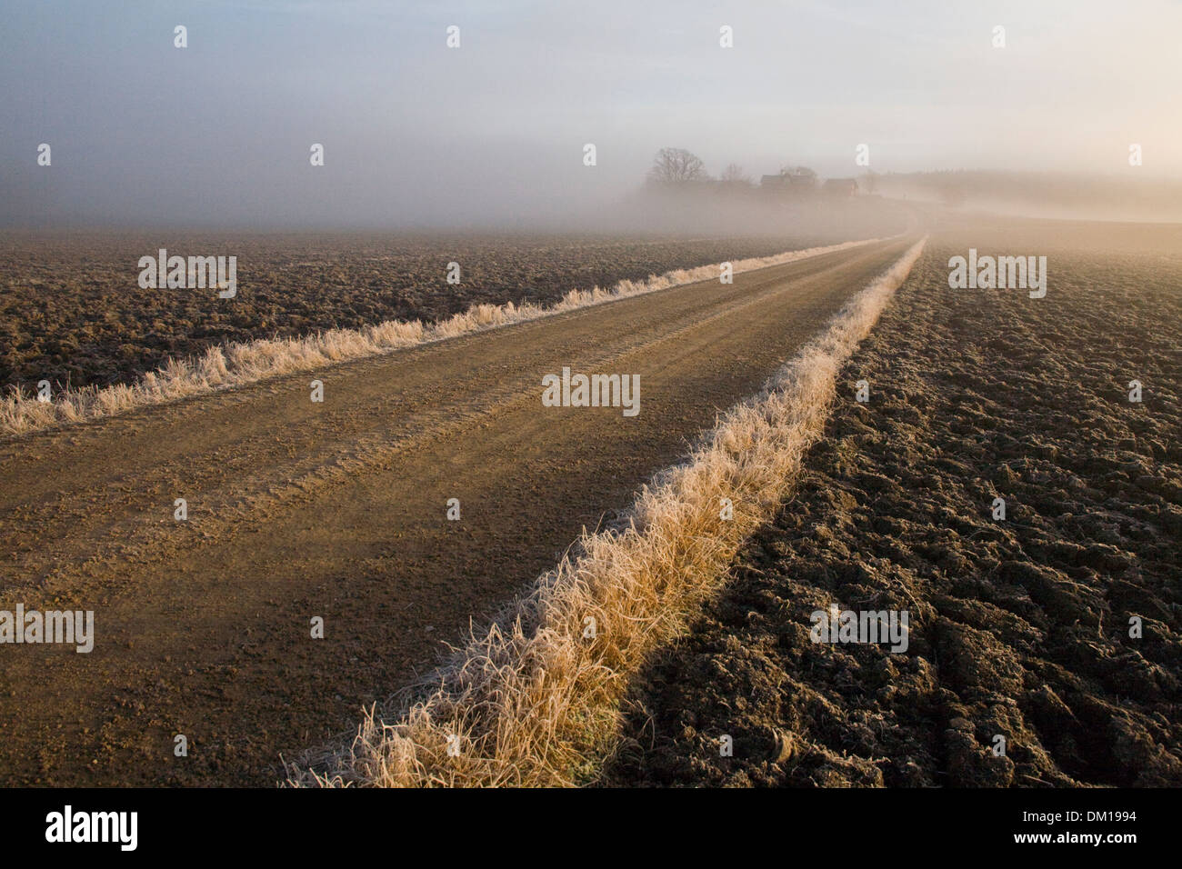 Unbefestigten Straße Feldweg Landwirtschaft Furchen Frost Winter Stockfoto