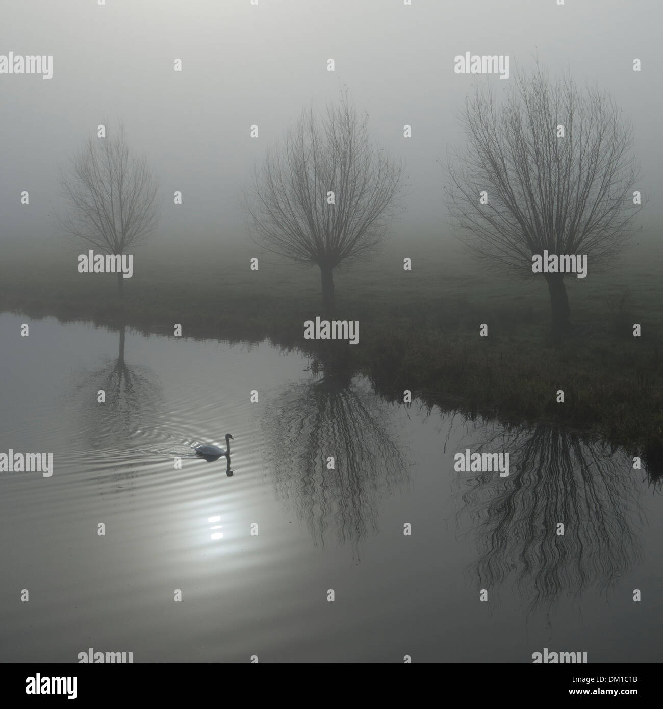 Nebligen Wintermorgen: Morgennebel klammert sich über die Landschaft von Suffolk. Stockfoto
