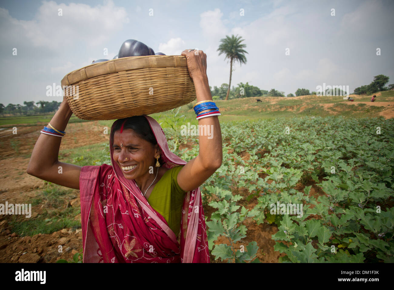 Bäuerin im Bundesstaat Bihar, Indien. Stockfoto