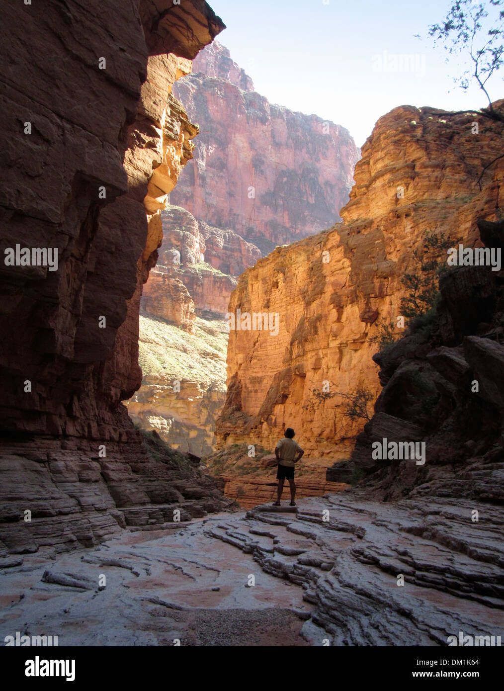 Einsame Wanderer in den Grand Canyon steht in einem Seitencanyon glühend vor Sonnenlicht reflektiert. Stockfoto