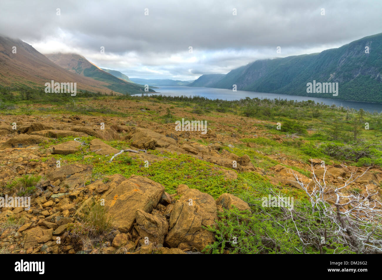 Blick auf den Hochebenen und Klippen Futter foggy River Forellenteich in Gros Morne National Park, Neufundland Stockfoto