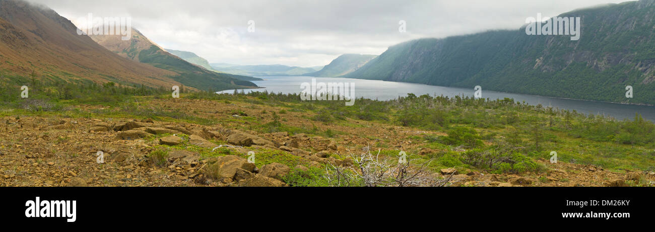 Panoramablick auf die Tablelands und Klippen Futter foggy River Forellenteich in Gros Morne National Park, Neufundland Stockfoto