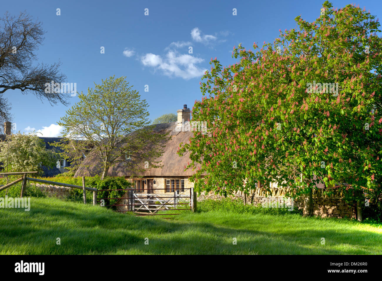 Reetgedeckten Landhaus am breiten Campden, Cotswolds, Gloucestershire, England. Stockfoto