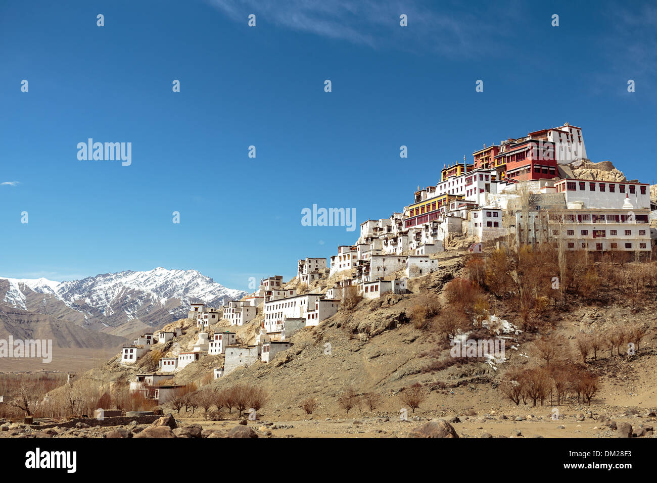 Thikse Kloster oben auf einem Felsvorsprung in der Indus Tal von Ladakh in Nordindien.  Dies ist ein tibetischer Stil buddhistischer Gompa. Stockfoto