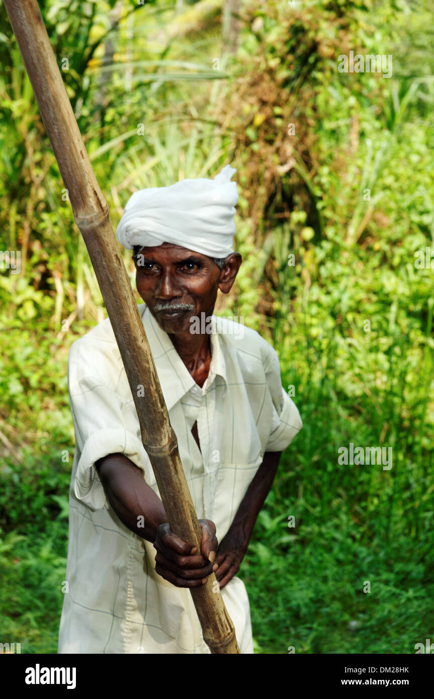 Ein indischer Mann Stechkahn fahren in den Backwaters von Kerala Stockfoto