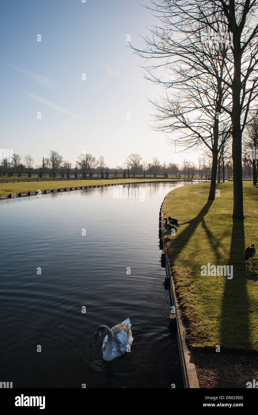 Schwan auf einem Kanal auf dem Gelände des Hampton Court Palace Stockfoto